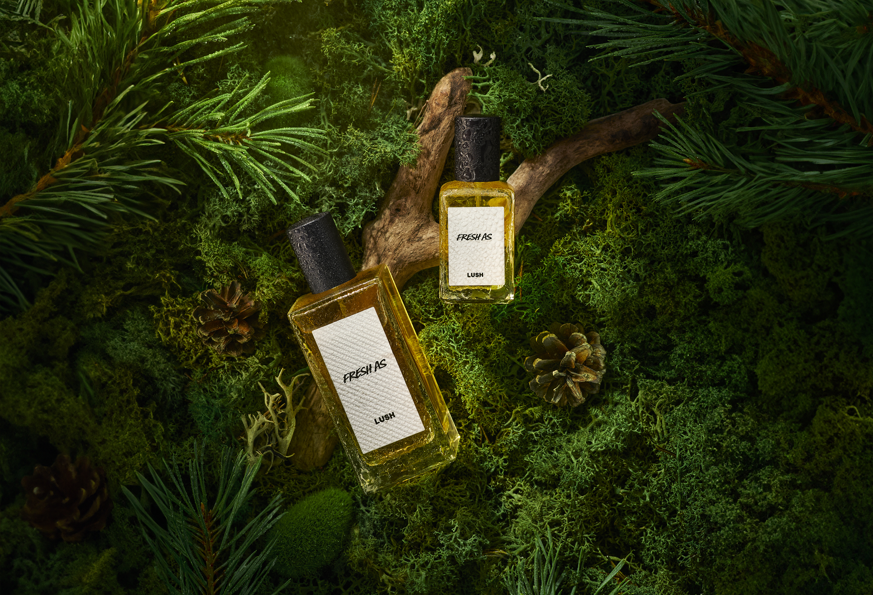 ニッチフレグランス・香水 | ボディ・ヘア用 他 | LUSH | LUSH ニッチフレグランス・香水 | ボディ・ヘア用 他 | LUSH | LUSH